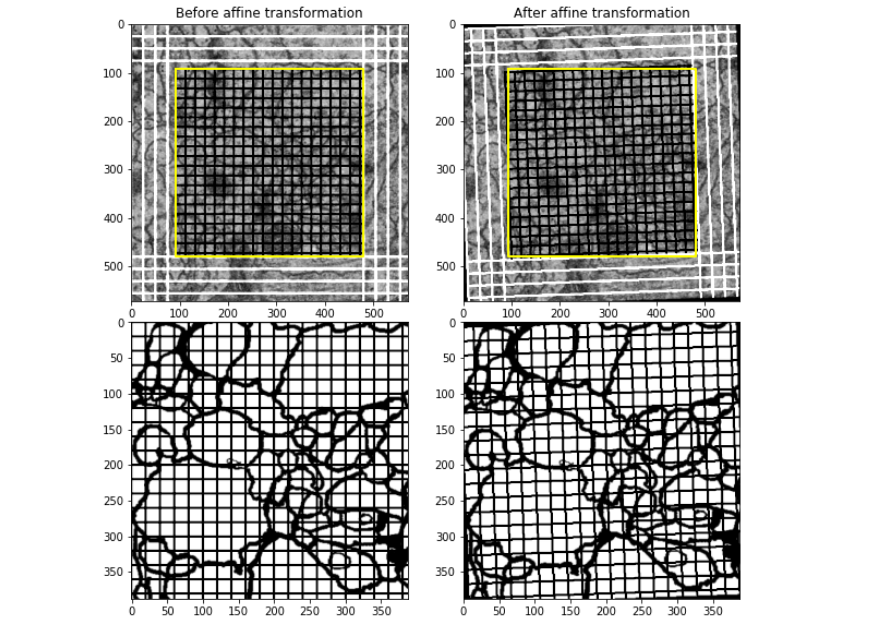 Affine Transformation Visualization