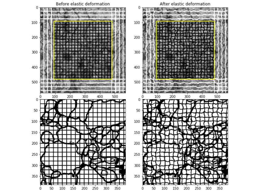 Elastic Deformation Visualization