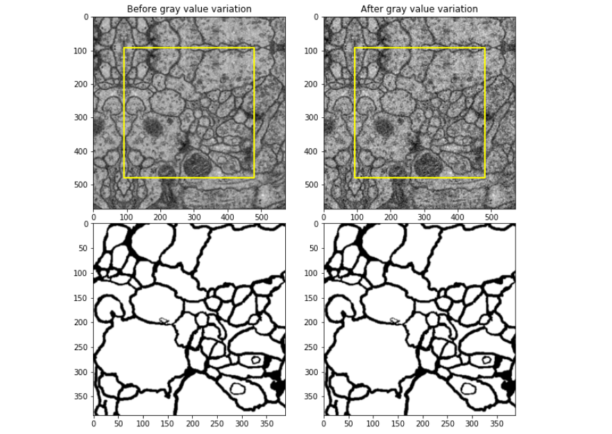 Gray Value Variation Visualization